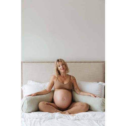 Pregnancy Pillow – WildBird
