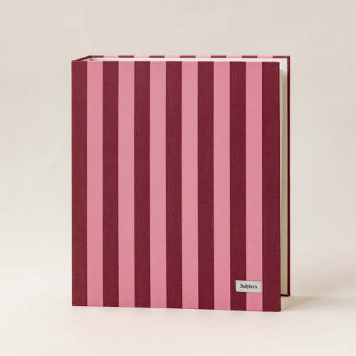 The DailyDocs Organizer