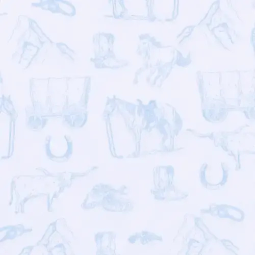 Magnolia Baby Wild West Toile Footie - Light Blue 3 Months