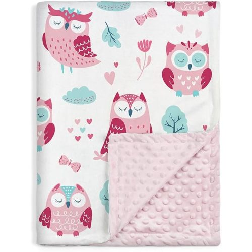 Owl Kid Blanket for Girl - Soft Kids Throw Minky Blankets with Dotted Backing for Girls - Kids Nursery Crib Blanket 30x40