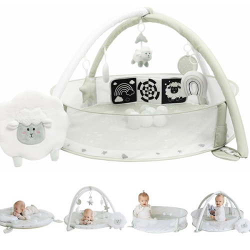 Aila+Aiden 6-in-1 XL Play Mat & Play Gym, Baby Gym, Baby Activity Gym, Sensory Exploration and Motor Skill Development Toys (Sage)