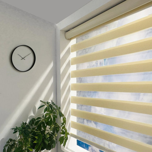 Shadesu Cordless Zebra Shades – Dual Layer Day & Night Free-Stop Light Filtering Window Blind & Reviews | Wayfair