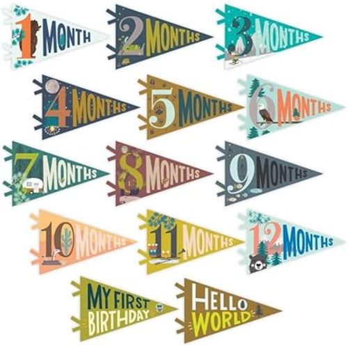 Lucy Darling Petit Milestone Pennants – Baby Monthly Milestone Pennant Flags – Newborn Photo Props & Felt Nursery Decor – Keepsake Banner Set for Baby Photos – Little Camper