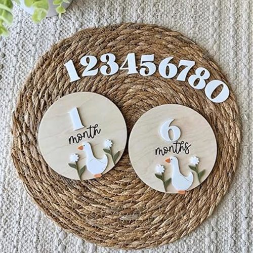 Baby Monthly Milestone Wooden Sign with Numbers and Stand – Natural Wood Milestone Board for Newborn Monthly Growth Photos – Cute 3D Flowers Photo Prop for Baby Milestone Memories (Goose)