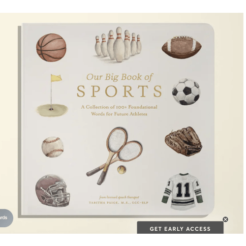 Our Big Book of Sports
