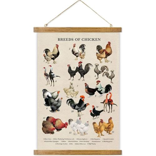 ABoby Vintage Illustrated Chicken Breeds Posters - Farmhouse Wall Art - Retro Style Wall Decor Painting with Wood Frames - Ready to Hang