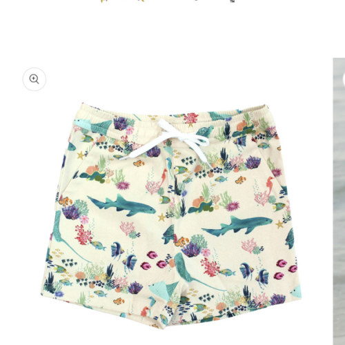 Coral Reef Boys Swim Trunks – Emerson and Friends