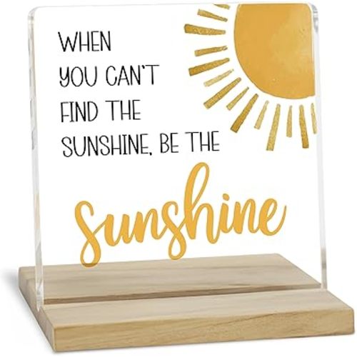 Be the Sunshine Motivational Decor Sign, Sunshine Gifts for Women Acrylic Plaque