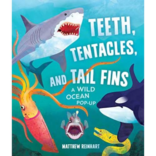 Teeth, Tentacles, and Tail Fins (Reinhart Pop-Up Studio): A Wild Ocean Pop-Up (Reinhart Studios) (Ocean Book for Kids, Shark Book for Kids, Nature Book for Kids)