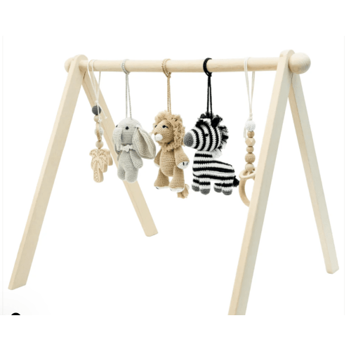 Baby Activity Gym & Crochet Toys