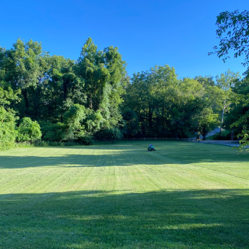 Help with Yard Work