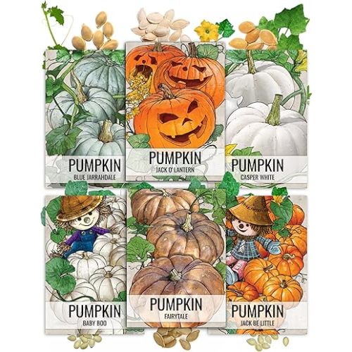Seed Needs Pumpkin Seeds Variety Pack of 6 Specialty Pumpkins for Planting