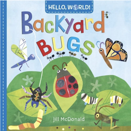 Hello, World! Backyard Bugs