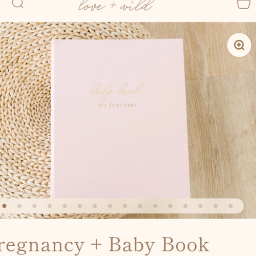 Pregnancy + Baby Book Combo - Pink