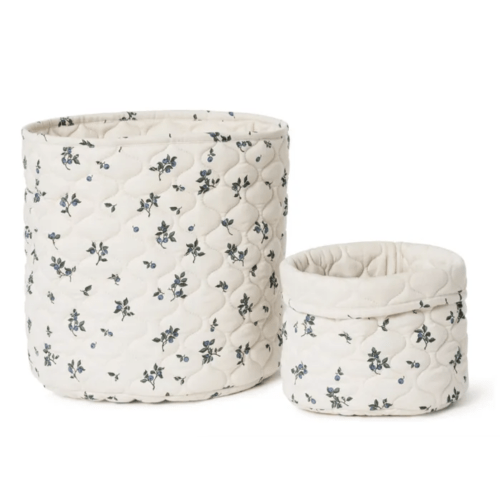 Blueberry storage basket