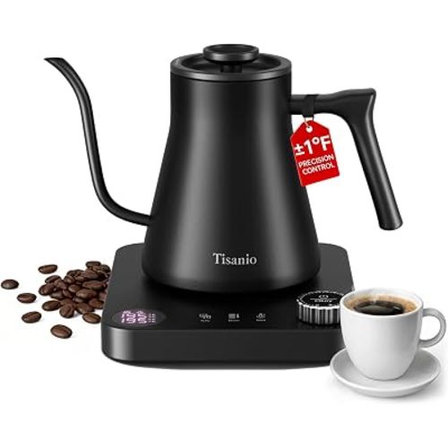Gooseneck Electric Kettle with Temperature Control, 0.9L, Black