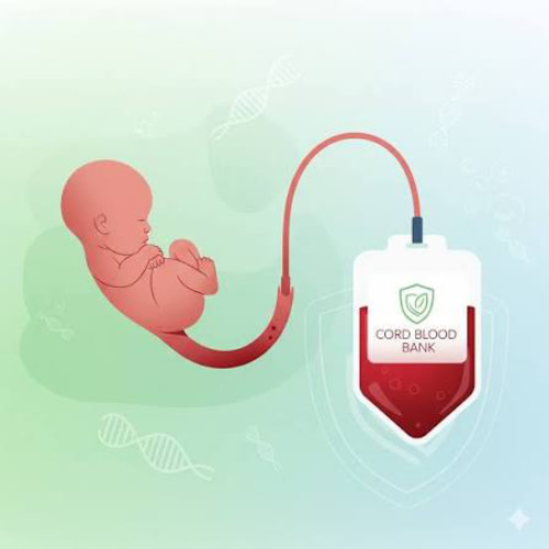 Cord Blood Banking