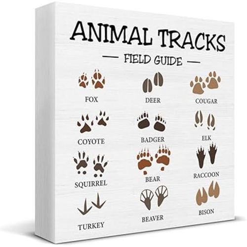 Cabin Decor, Forest Decor, Boy Nursery Sign, Rustic Animal Tracks Field Guide Wood Sign Wildlife Wall Art Home Cabin Boy Nursery Desk Wall Table Shelf Decorations