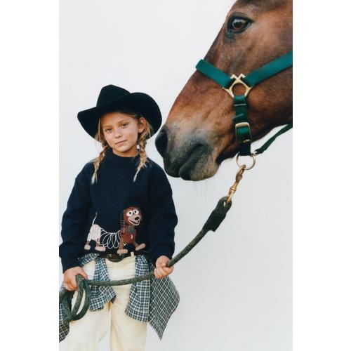 TOY STORY © DISNEY PIXAR EMBROIDERED KNIT JUMPER - Midnight blue | ZARA United States