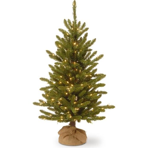 National Tree Company 4 ft Pre-Lit Kensington Mini Artificial Christmas Tree, 150 Clear Lights, 284 Tips, Burlap Base, Green