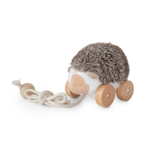 Hedgie – Little Lamb Kind