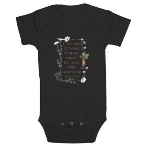Infant's Harry Potter Albus Dumbledore Grow To Be Quote Bodysuit - Black - 24 Months