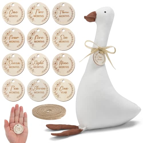 Biubee Baby Monthly Milestone Goose Photography Props | Baby Announcement, New Mom Essentials for Newborn Girl & Boy Keepsake, Baby Shower Gifts Registry Items