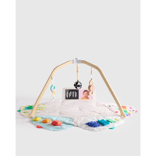 The Play Gym by Lovevery