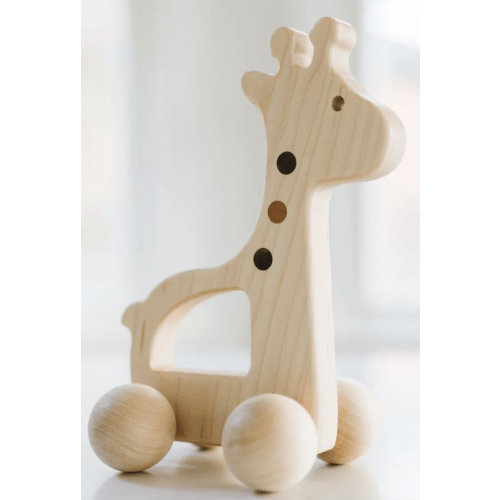 Giraffe Push Toy