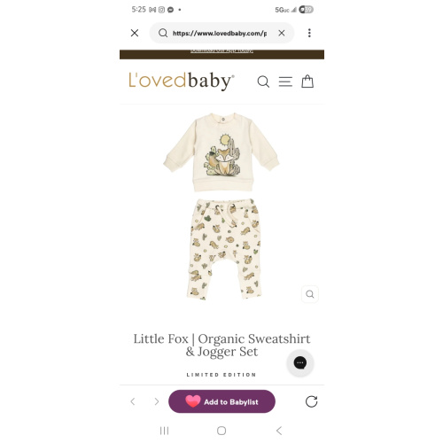 Little Fox | Organic Sweatshirt & Jogger Set – L'ovedbaby