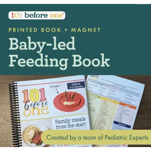 101 before one Printed Book + 101 Foods Checklist Magnet - TikTok Shop