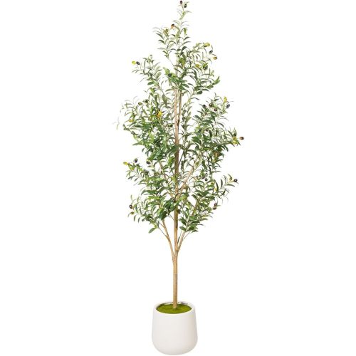 Artificial Olive Tree with White Pot - Faux Olive Tree for Home Decor, Tall Artificial Plants Indoor, Realistic Trunks Foliage Fruit, Office Decor (6FT)