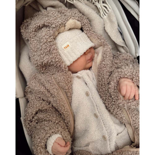 Bunting Bébé - Teddy