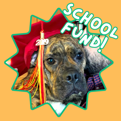 School/Future Fund