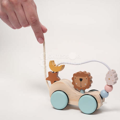 Montessori Roaring Roller - Pull, Push, & Explore!