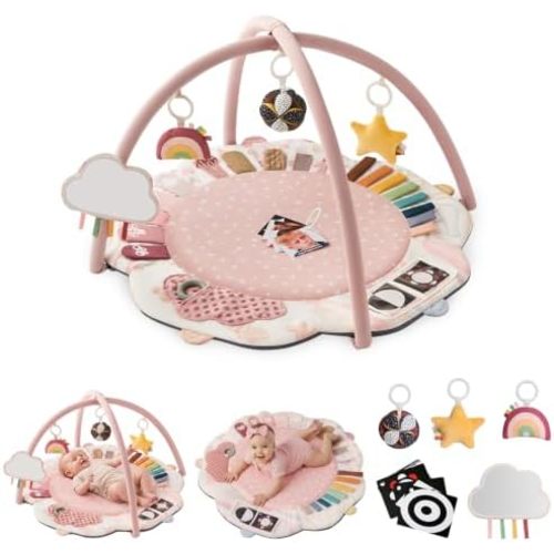 Blissful Diary Baby Play Gym, 5 Development Zones Activity Tummy Time Mat