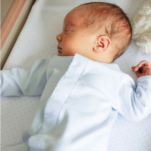 Magnolia Baby Essentials Solid Blue Converter Size Newborn