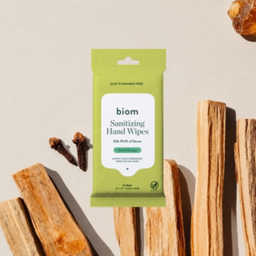 Hand Sanitizing Wipes - Travel Packs