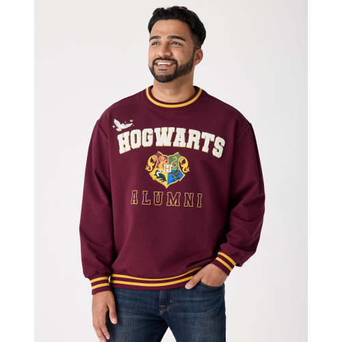 Harry Potter™ Spellbinding Studies Adult Crewneck Sweatshirt