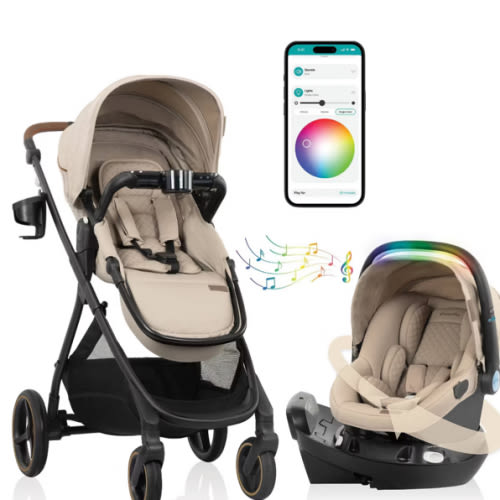 stroller/car seat