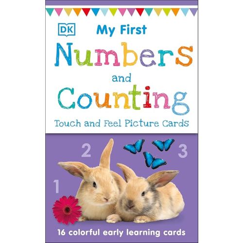 My First Touch and Feel Picture Cards: Numbers and Counting (My First Board Books) Cards – April 3, 2018