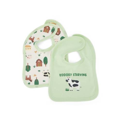 Light Green Baby 2 Pack Bibs | Best&Less™ Online