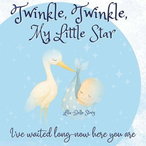 Twinkle, Twinkle, My Little Star I’ve Waited Long—Now Here You Are: A Lullaby of Love - A Keepsake Gift Book for Mother and New Baby Boy (You’re My Everythingamajig)
