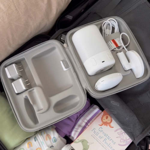 Nanit Traveling Light Case