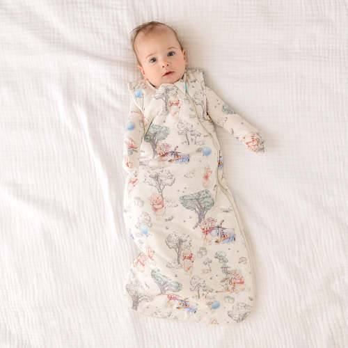 Disney Hundred Acre Woods Sleeveless Sleep Bag