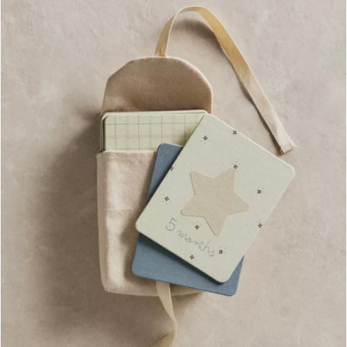 BABY MONTHLY MILESTONE KIT – 12 DONKEY CARDS