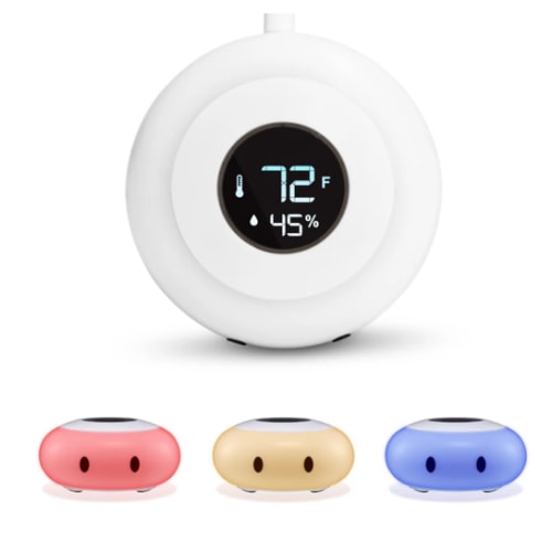 KELVIN - LittleHippo