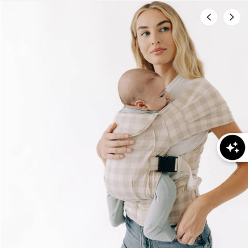 2-in-1 Convertible Carrier
