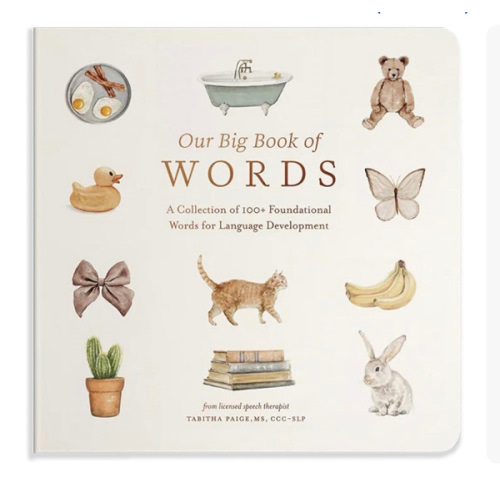 Our Big Book of First Words: A Collection of 100+ Foundational Words for Language Development (Tabitha Paige Children's Book Series)