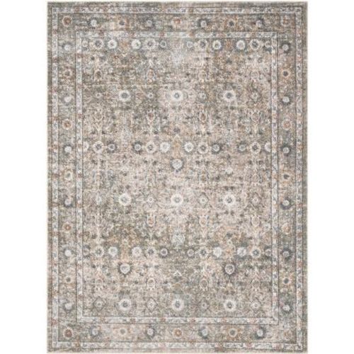 Nourison Astra Washable Vintage Rug - Gold + Grey, 5’x7’